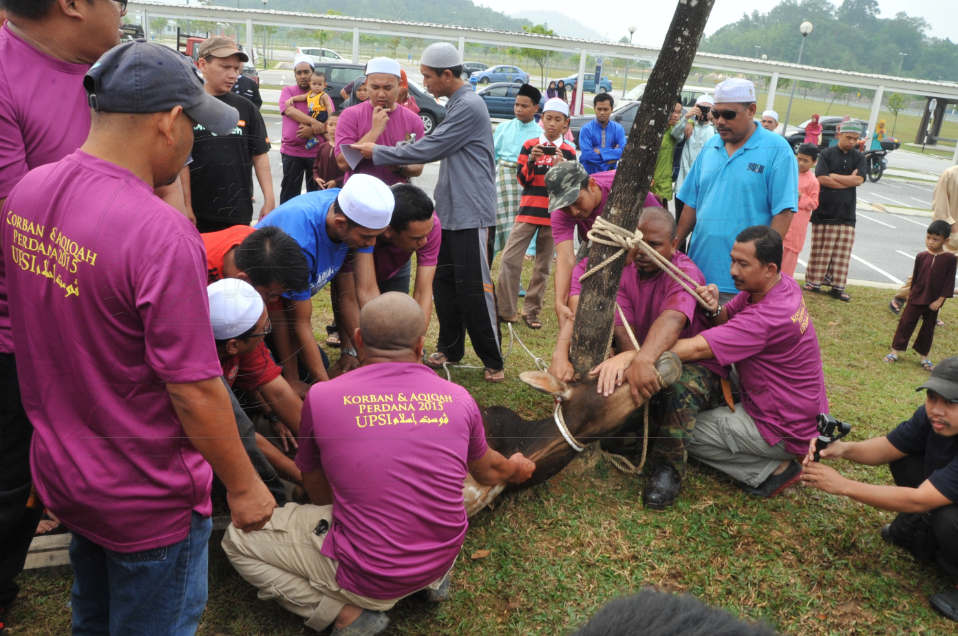 PRO15 150 KORBAN HAS 6747